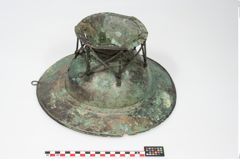 Foto von Bronzebreitrandfußschale (NHMW-PRAE-025437)